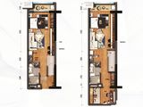 碧桂园潼湖科学城_2室2厅1卫 建面51平米