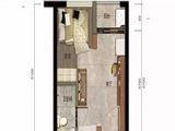 万科蛇口公馆_1室1厅1卫 建面30平米