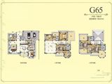碧桂园江北新城_7室3厅6卫 建面643平米