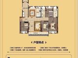 碧桂园罗马世纪城_4室2厅2卫 建面142平米