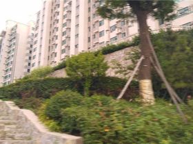 世纪上城