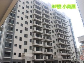 瑞丰国际