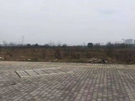 实地常春藤