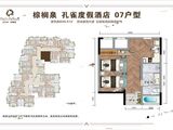 太白山棕榈泉_孔雀07户型 建面48平米