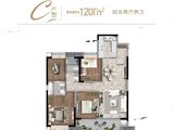 远洋红星长沙天铂_4室2厅2卫 建面120平米