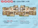 碧桂园凤凰湾_5室2厅3卫 建面220平米