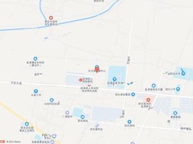 金蚂蚁平安府二期